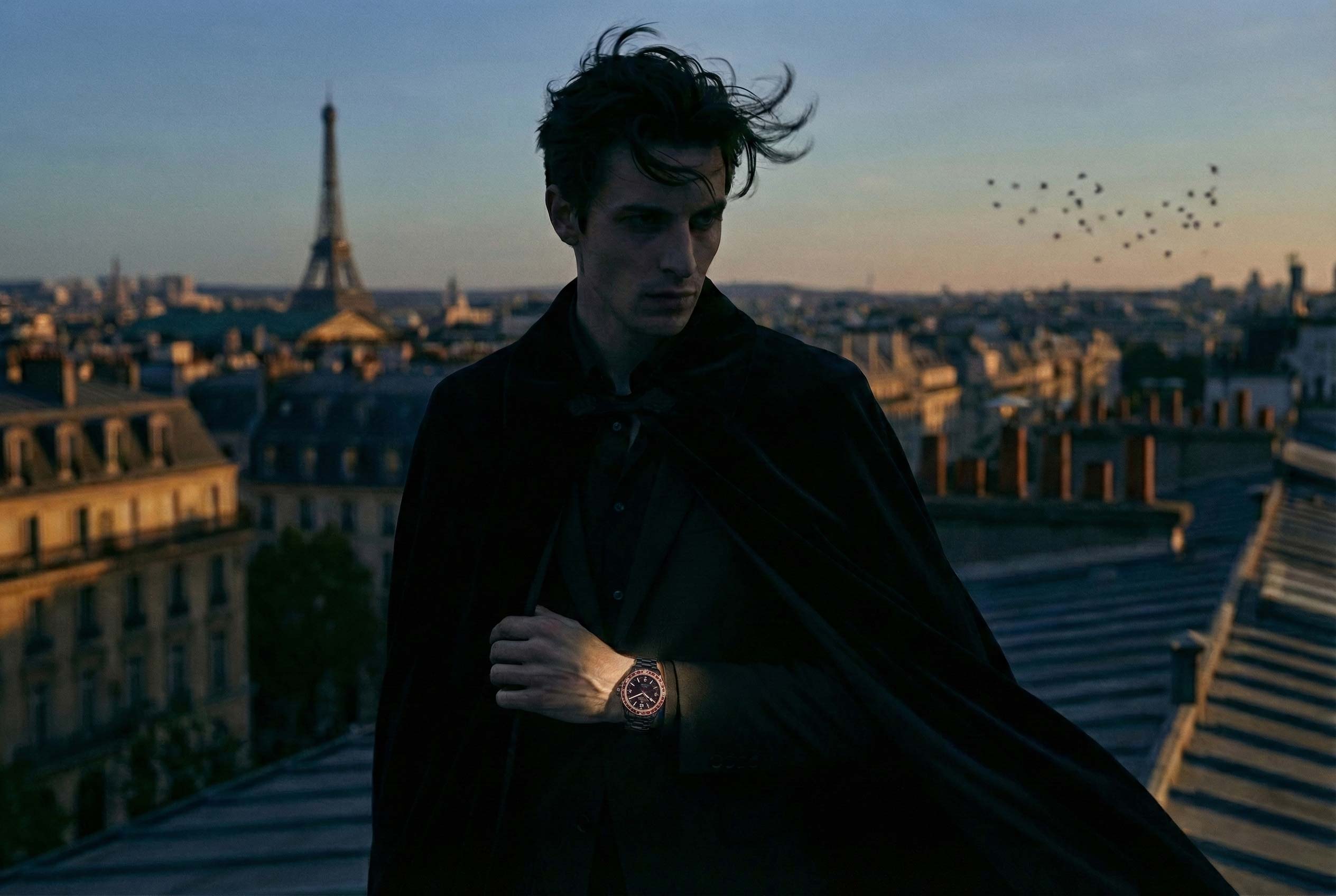 Visuel Gemini - Rubis